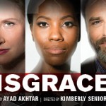 SIX PERFORMANCES ADDED TO RUN OF DISGRACED BY AYAD AKHTAR, DIRECTED BY KIMBERLY SENIOR, EXTENDED THROUGH OCTOBER 25 AT GOODMAN THEATRE